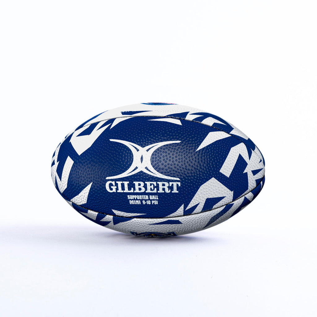 Newcastle Red Bulls Official Supporters Ball Mini